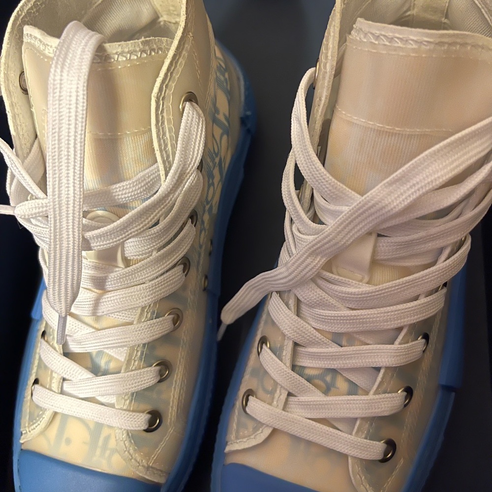 Christian Dior b23 high top sneakers women